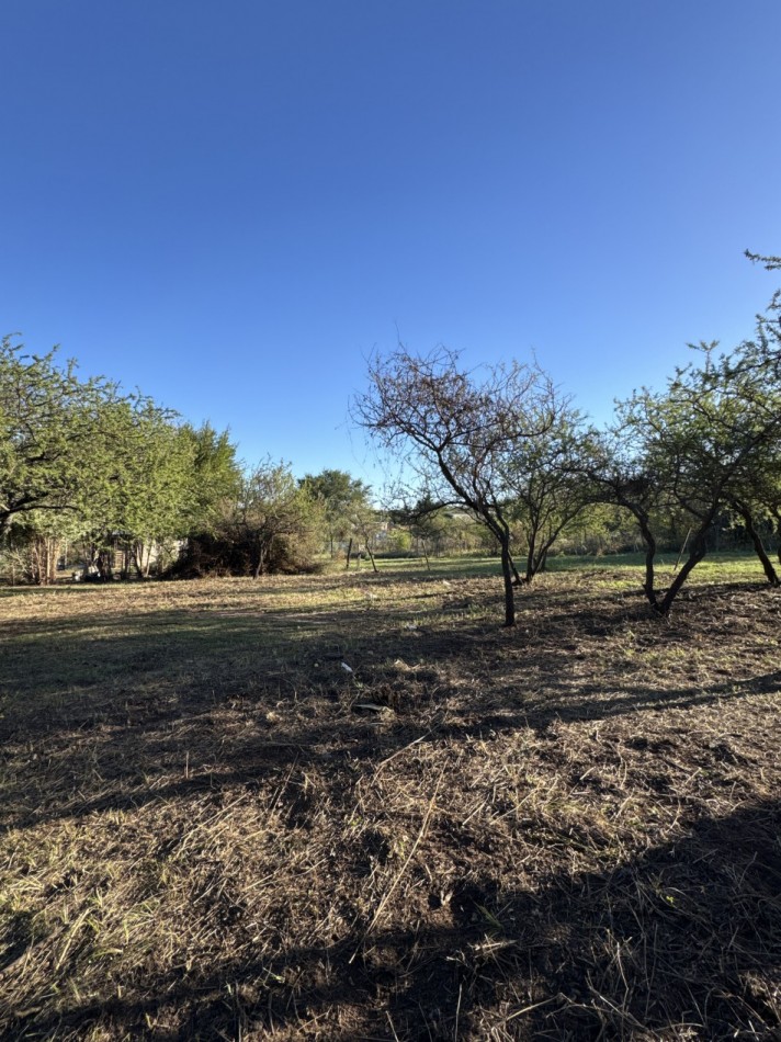 TERRENO 