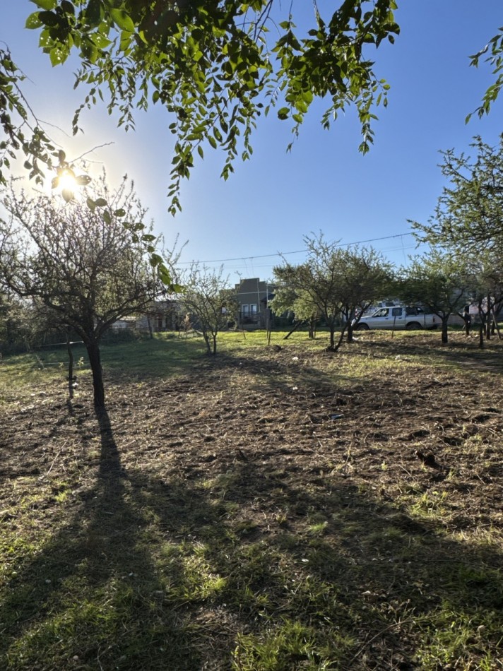TERRENO 